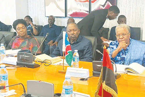 Nandi-Ndaitwah condemns poaching in Angola