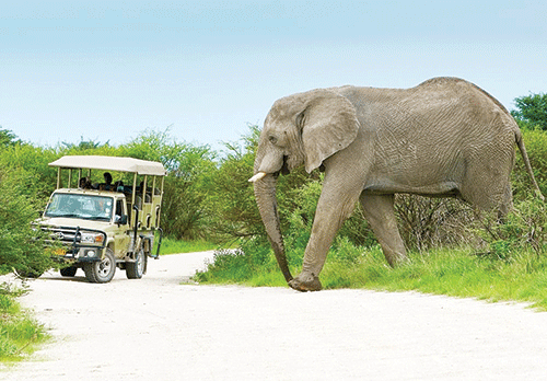 nwr 2 Local travellers disappoint NWR … as only 10% Namibians frequent resorts