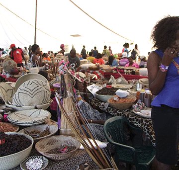 MTC sponsors N$385 000 for OATF preparatory committee