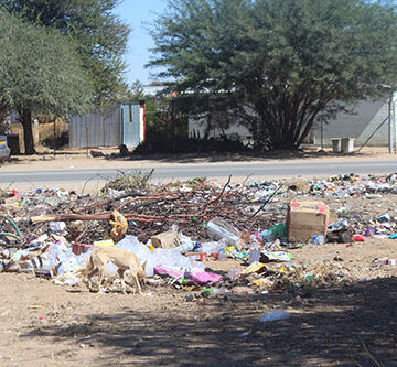 N$25 million to clean ‘Garden Town’