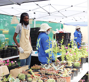 omd OMDis nursery strives for economic diversification