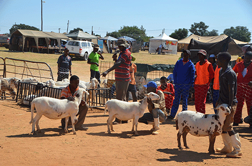 Otjinene experiencing investor inflows