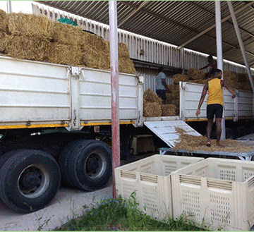 page 16 kundana 2 Eengobe mOutapi da tembukila modoolopa