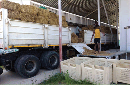 Eengobe mOutapi da  tembukila modoolopa