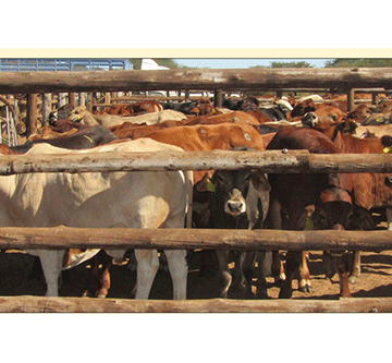 page 2 1 Okapapu kOmahetjo make yendayenda