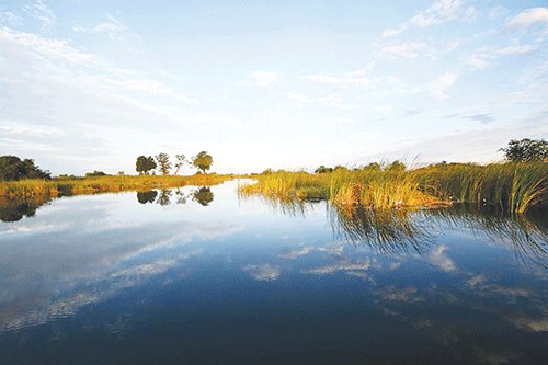Pressure group demands fisherman’s death investigation