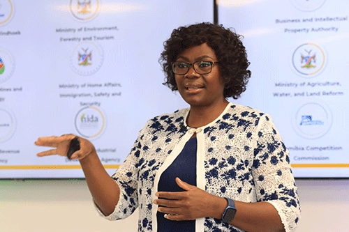 Uaandja: N$161 billion investments in pipeline