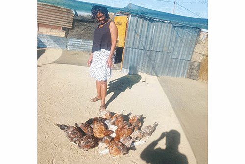 poultry Poultry farmer defies odds in Tses