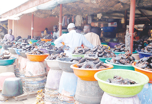 Nigerians protest soaring cost of living