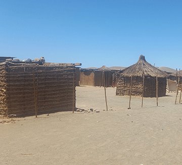 reed houses Decent houses on cards for grape farmworkers