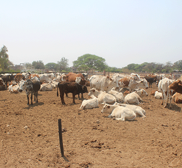 resettlement policy Govt keen on transparent resettlement policy