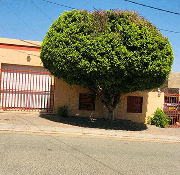 rodman 1 Katjaimo rules Katutura Central from Rocky Crest