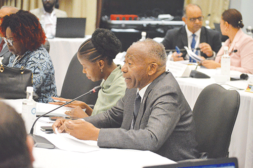 SADC PF adopts motion on BRICS cooperation