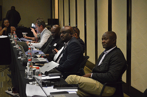 Political will could boost SADC development plan