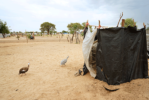 Govt vows to scale up sanitation efforts