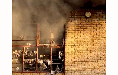 Arson, theft at school for visually impaired