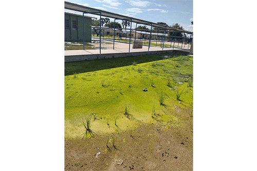 Sewage halts learning at Onesi 