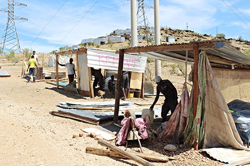 Housing partnership set to bloom