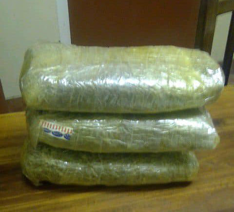 Yaali ya mangwa niingangamithi