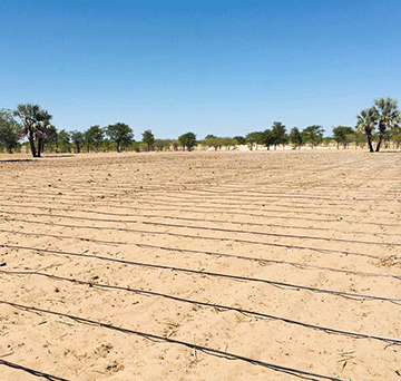 skydrip 2 Agri graduate taps into niche market