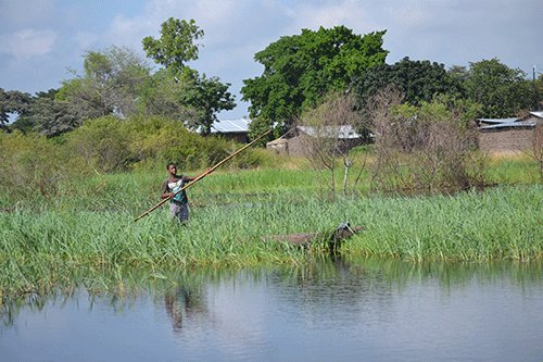 Life in Kabbe’s floodplains