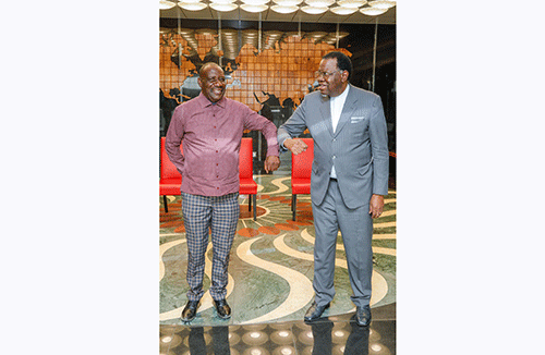 Geingob consults with parties on green hydrogen