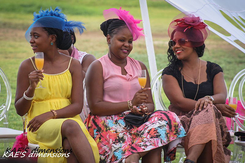 Namibia’s biggest  tea party set for Saturday