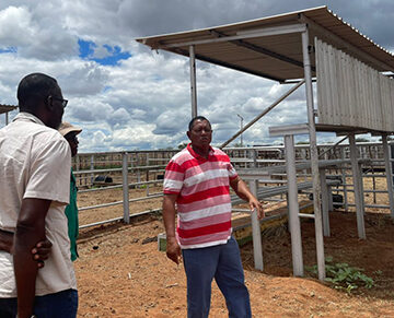 Tjihero wants more assistance for struggling farmers