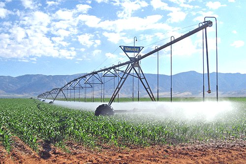 Venaani: More investment in irrigation infrastructure needed