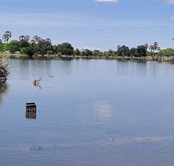 Uulingilingi wa yi iilonga  yomatale gomomeya moshipala