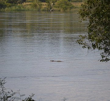 water policing Water policing officers demand danger allowance