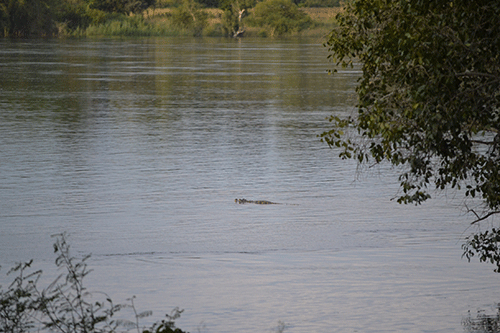 water policing Water policing officers demand danger allowance