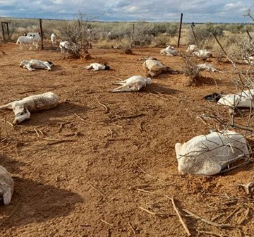 Southern farmers warned of massive cold front