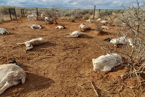 Southern farmers warned of massive cold front
