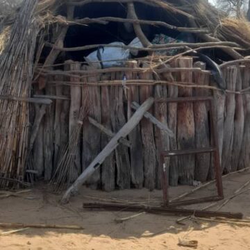 wind Family survives whirlwind damages