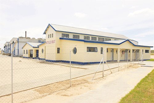 Hope flickers for Witvlei revival