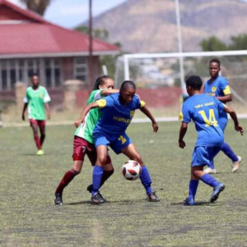 wsl We are ready – Damaseb