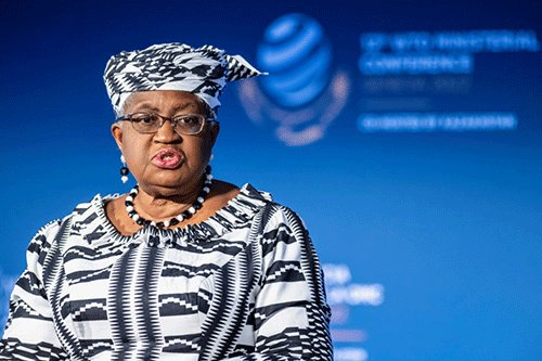 WTO braces for battles on fisheries and agriculture
