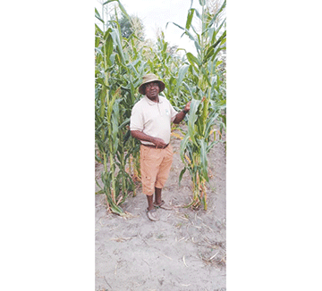 Mufe mubu mulwalo kuli mutahise lico