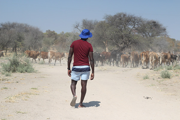 Zoonotic diseases present major challenge