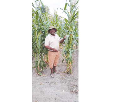 zambezi horticulture1 Impregnate the land to produce food