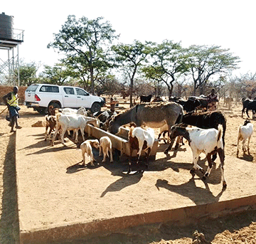 Iitopolwa yokonooli ya pewa oomboola dhomeya