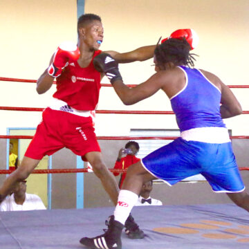 Kilimanjaro Boxing Club returns 
