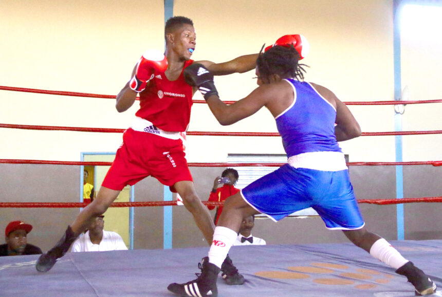 Kilimanjaro Boxing Club returns 