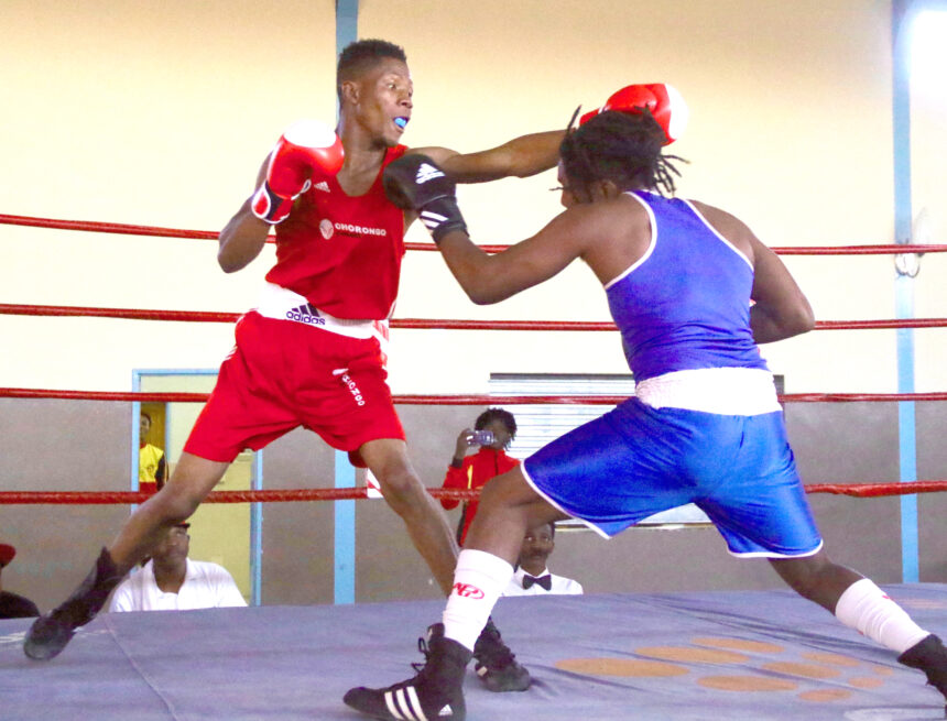 Kilimanjaro Boxing Club returns 