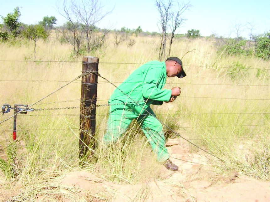 N$4.5m approved for red line repair… foot-and-mouth disease in check