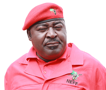 NEFF blames Swapo for legal woes … They’re irresponsible – Herunga  