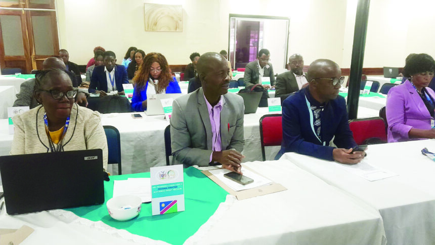 Namibia, Angola cooperate on disease prevention