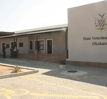 Lumpy skin disease outbreak in Okakarara