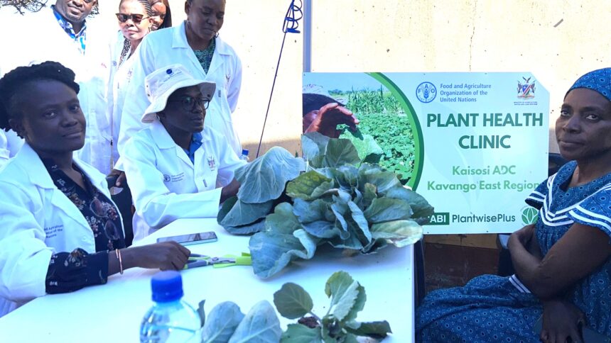 Namibia’s first plant health clinic launched at Rundu